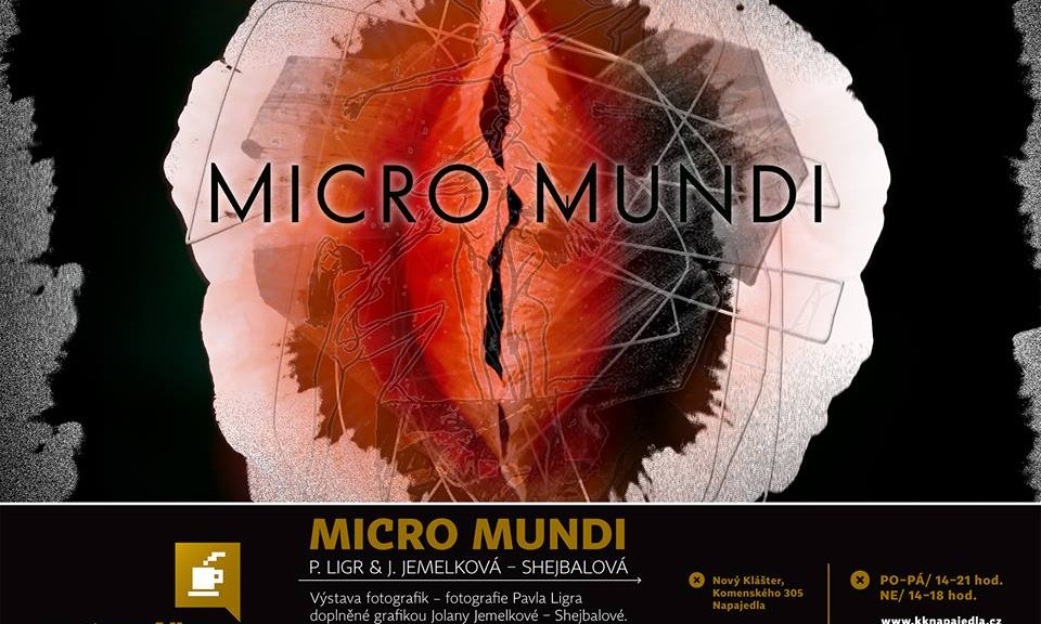 micro-mundi