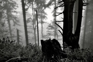 Jaromír Stehlík - Pod Radhoštěm